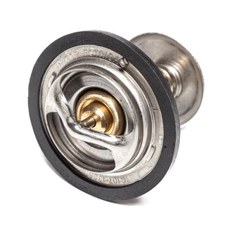 Термостат ТС107-1306100-04 87*С АЕ