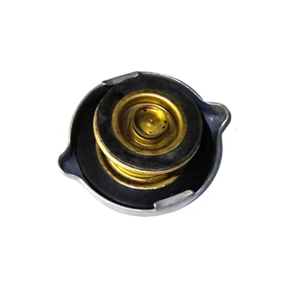 Крышка радиатора А21.01.270 (большая) МТЗ, ДТ